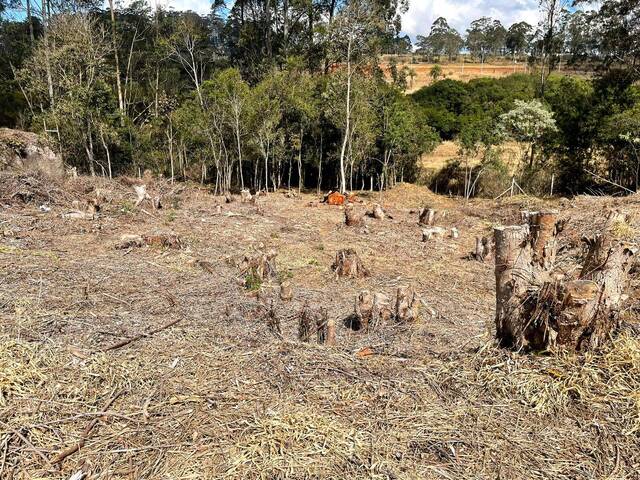 #259 - Área para Venda em Vargem Grande Paulista - SP - 3