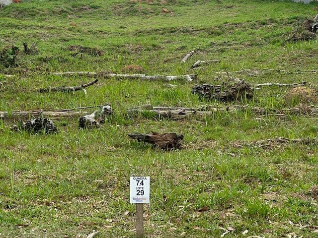 Área para Venda em Vargem Grande Paulista - 2